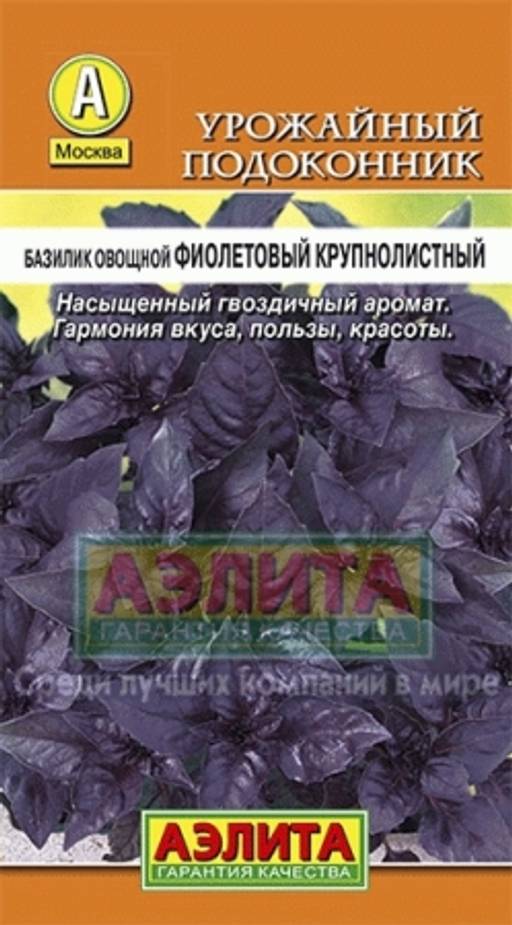 Базилик овощной Фиолетовый крупнолистный