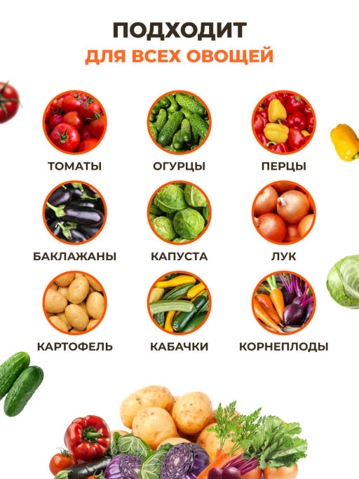 ЦИОН для овощей (пролонгированное питание для растений),800 г