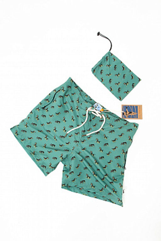 Шорты ЗАПОРОЖЕЦ Shenok LIGHT GREEN  фото 8