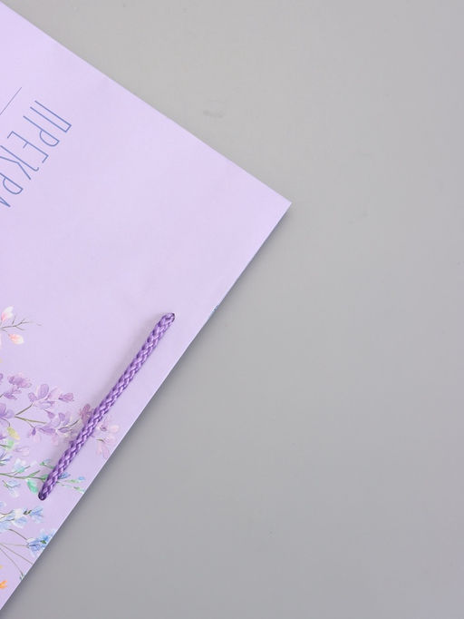 Пакет подарочный ламинированный «Прекрасных мгновений», 26×12×32 см