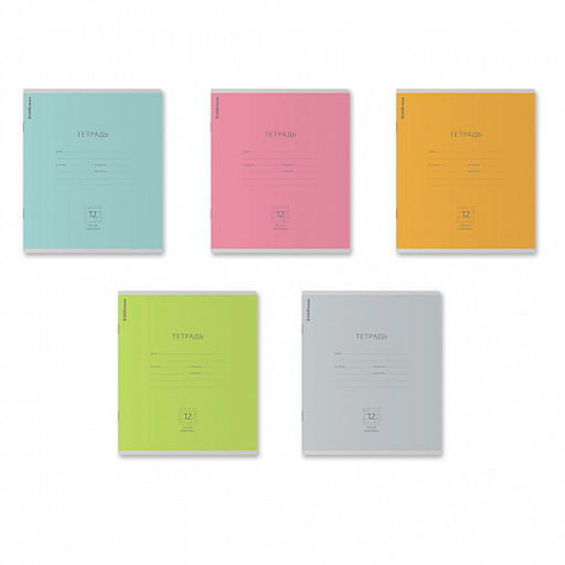 Цена за 280 шт. Тетрадь школьная ученическая ErichKrause Классика Nature Colors ассорти, 12 листов, косая линейка (в плёнке по 10 штук) фото 2