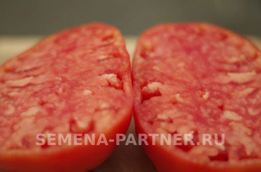 Томат Легенда Коктебеля - Партнер фото 6