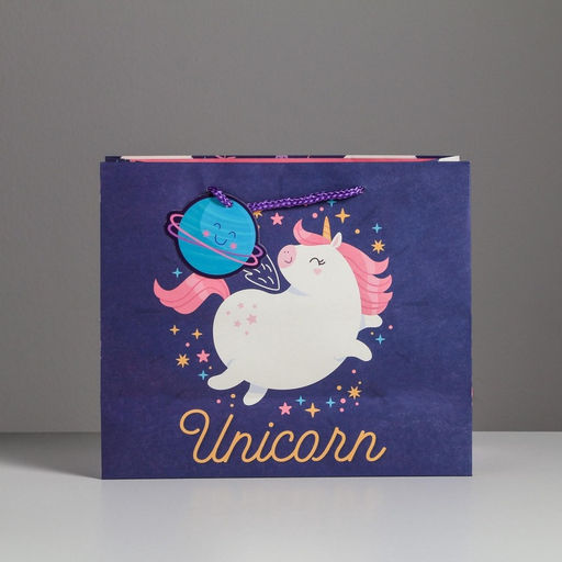 Цена за 2 шт. Пакет подарочный, упаковка, «Unicorn», 27 х 23 х 11.5 см