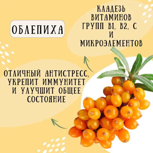 Камлёвъ Черный чай с ягодами облепихи "Облепиховый", 48 г (16 саше)