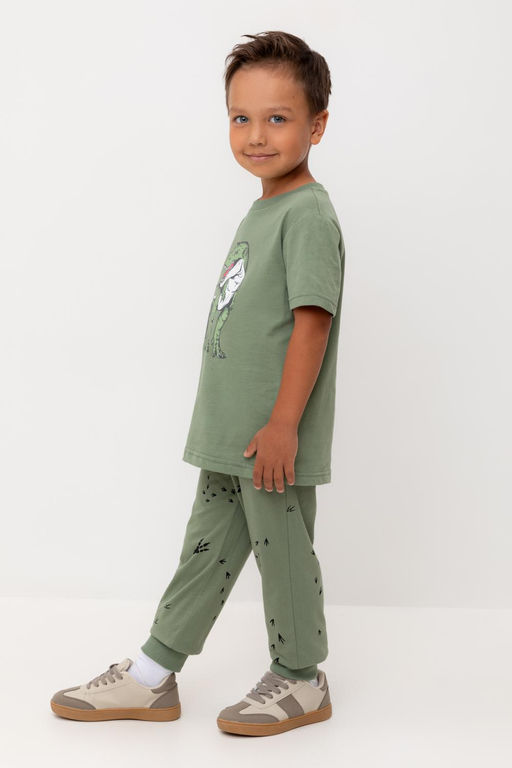 КР 400795/папоротник,следы динозавра к540 брюки для мал