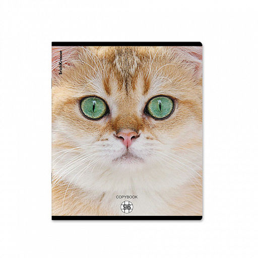 Цена за 5 шт. Тетрадь общая ученическая ErichKrause Cats, 96 листов, клетка, матовая ламинация_MIX-PACK фото 6