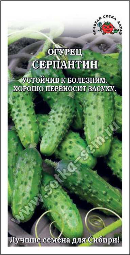 Огурец Серпантин 0,5г (Золотая сотка Алтая)