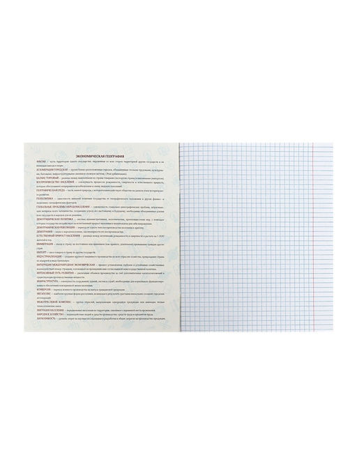 Цена за 5 шт. Предметная тетрадь по географии Calligrata TOP «Аниме», 48 листов, в клетку, со справочным материалом, обложка из мелованного картона