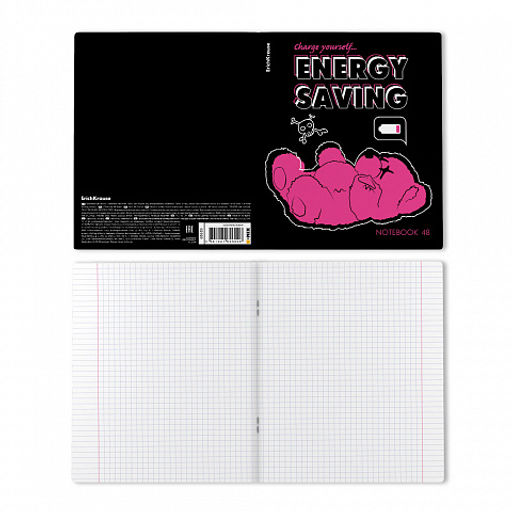 Цена за 5 шт. Тетрадь общая ученическая ErichKrause Low Battery, 48 листов, клетка, матовая ламинация+выборочный УФ-лак_MIX-PACK  фото 8