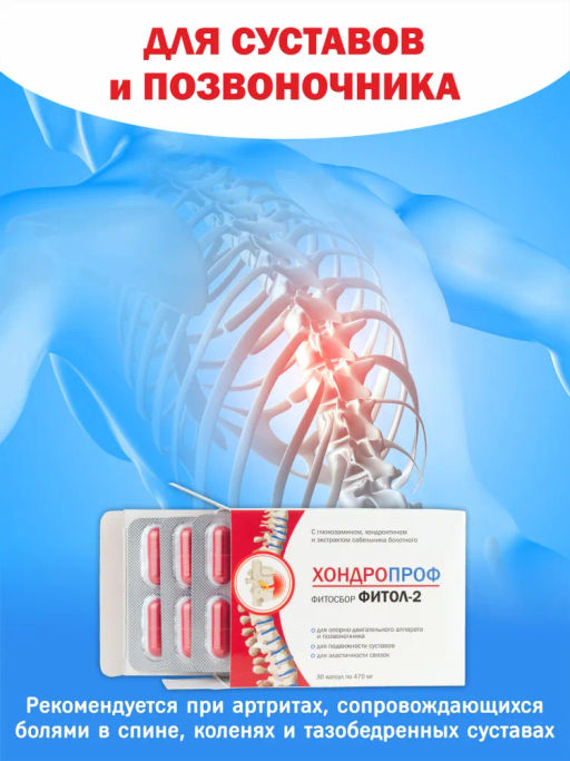 Бад Фитосбор Фитол-2 ХОНДРОПРОФ Алфит Плюс 1811  фото 4