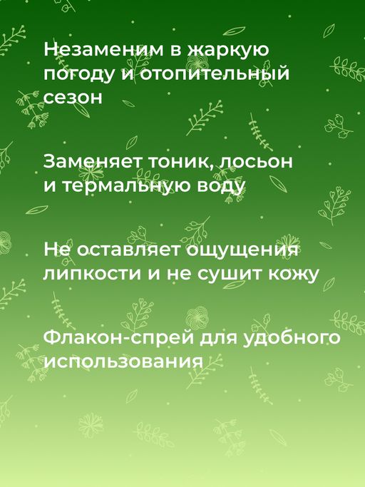 Комплекс гидролатов От чёрных точек и расширенных пор - Siberina фото 10