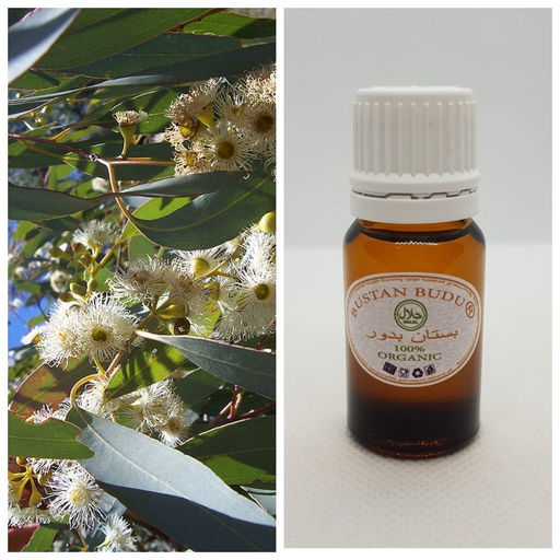 38 Эфирное масло Эвкалипт Eucalyptus Globulus, 5 мл