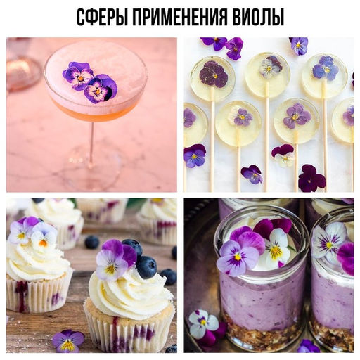 Цветы съедобные Виола для капкейков, тортов, куличей, напитков, 5 шт. - KONFINETTA фото 6