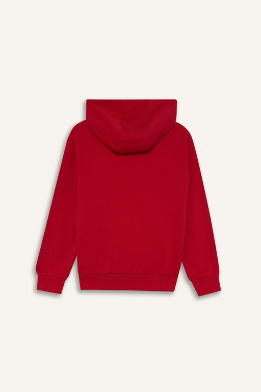 Kap__onlu Bask_l_ Sweatshirt Erkek _ocuk - Defacto фото 8