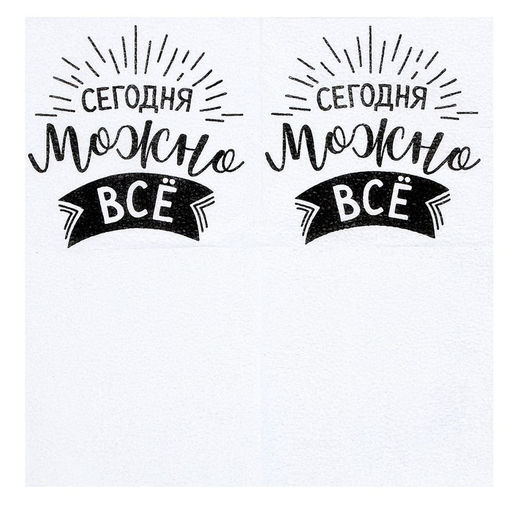 Цена за 2 шт. Салфетки бумажные «Сегодня можно всё», однослойные, 24×24 см, набор 20 шт.