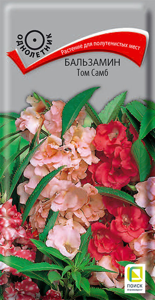 Бальзамин Том Самб ( ЦВ) (1) 0,1гр. - Поиск фото 2