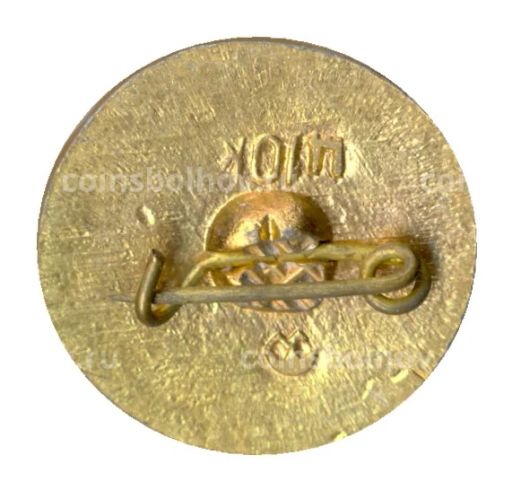 Значок Воин киевской руси