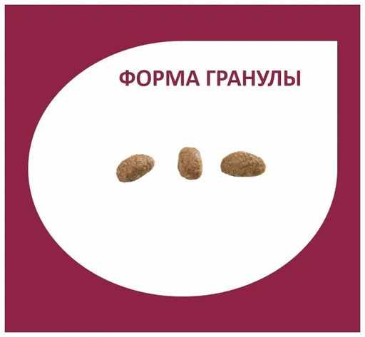 Скидка 50%!!! Гранплюс сухой корм для взрослых собак средних и крупных пород индейка и рис, 10,1 кг - Granplus фото 4