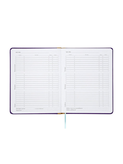 Дневник школьный 1-11 класс, лассе, обложка искуственная кожа, с резинкой для ручки