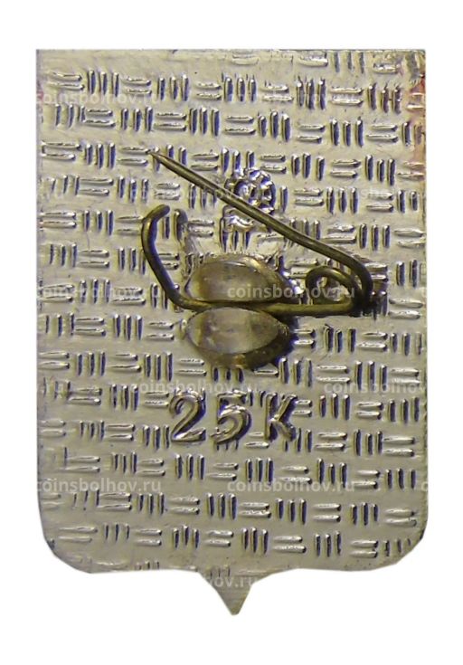 Значок Чебоксары