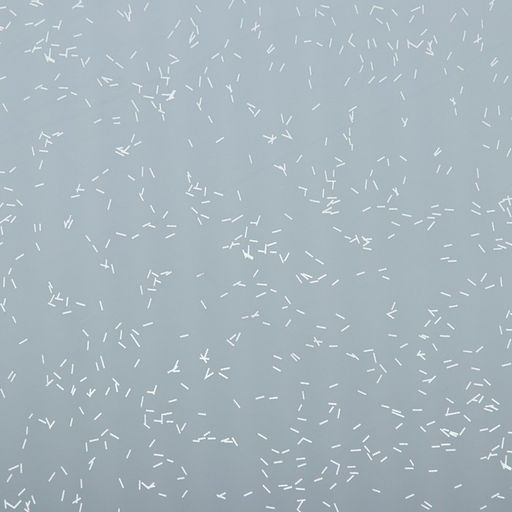 Цена за 20 шт. Пленка для цветов, Звёздное небо, белый, 57х57 см - UPAK LAND фото 3