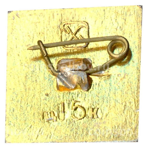 Значок Челябинск