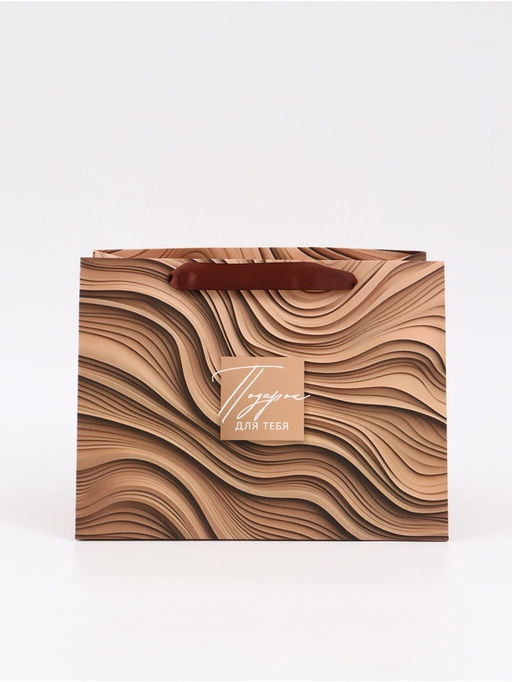 Цена за 2 шт. Пакет подарочный с широким дном «Подарок», 25 × 19 × 18 см