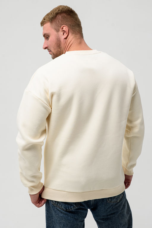 Мужской свитшот оверсайз 14421