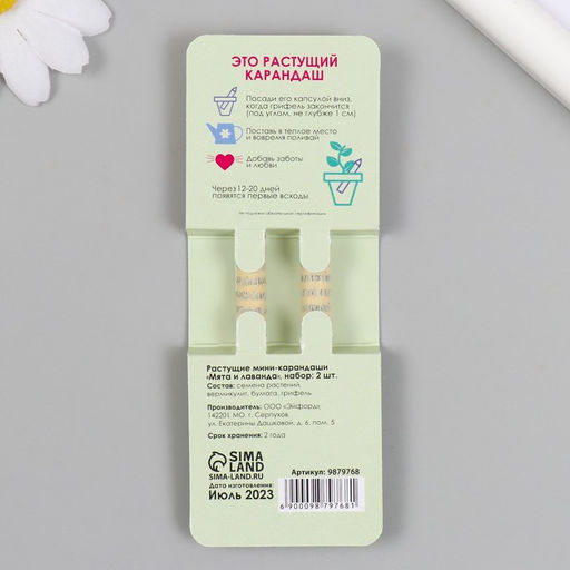 Набор для выращивания, карандаши подарочные «Мята и Лаванда», mini, простые чернографитные, 2 шт.