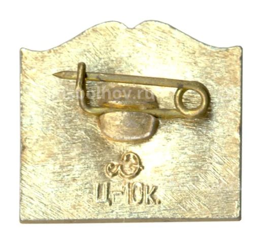 Значок Петродворец