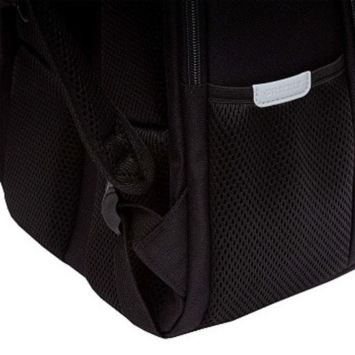 RAw-595-9 Рюкзак школьный - Grizzly фото 10