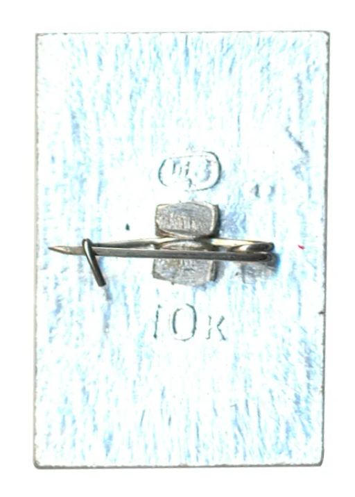 Значок Дубна