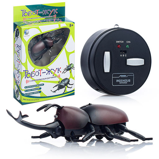 Жук в коробке