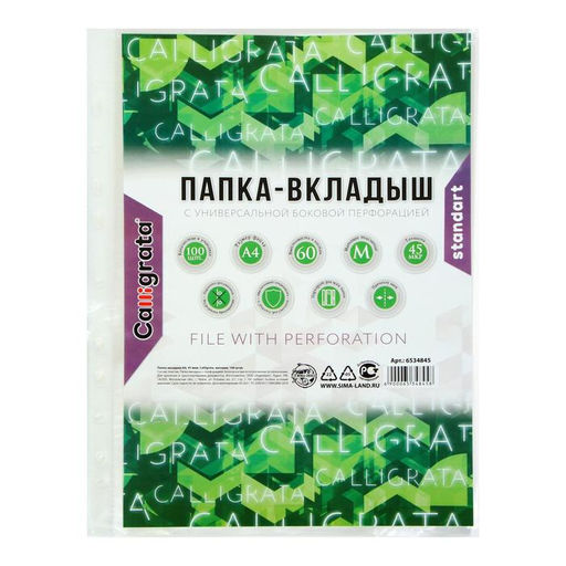 Файл-вкладыш А4, 45 мкм, Calligrata, матовый, вертикальный, 100 штук  фото 2