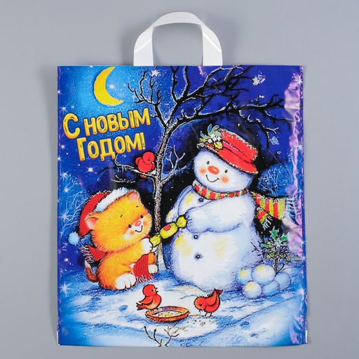 Цена за 25 шт. Пакет «Вечерок», полиэтиленовый с петлевой ручкой 38×42 см