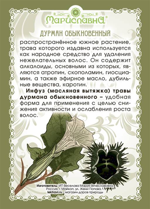 Масло дурмана (инфуз) - Мариславна фото 2