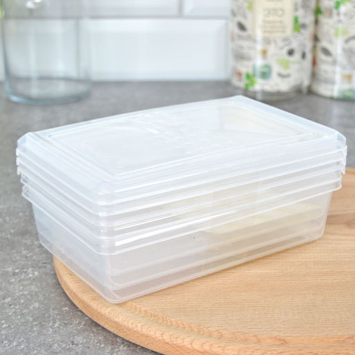 Комплект контейнеров для заморозки Asti 0,75л 221100801/00 - Homestar фото 6