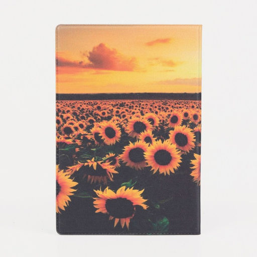 Цена за 2 шт. Обложка для паспорта, цвет разноцветный