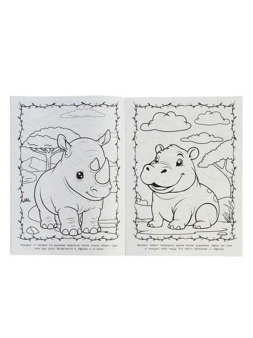 Раскраска "Животные жарких стран" 16 стр.