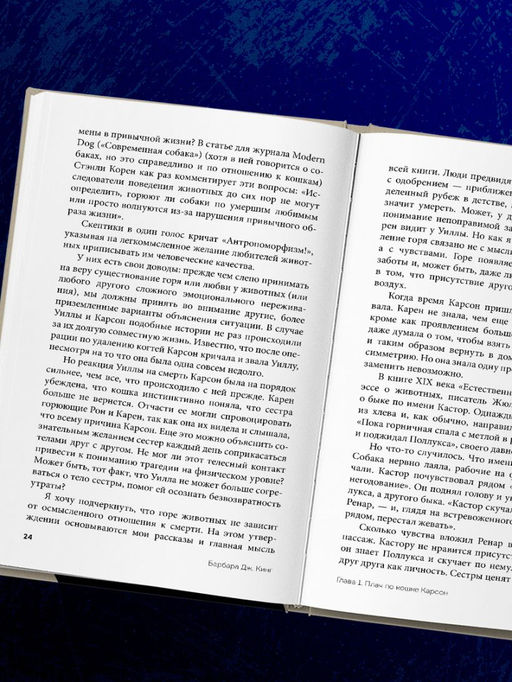 Как животные скорбят. Что чувствуют кошки, слоны, дельфины и другие, теряя близких