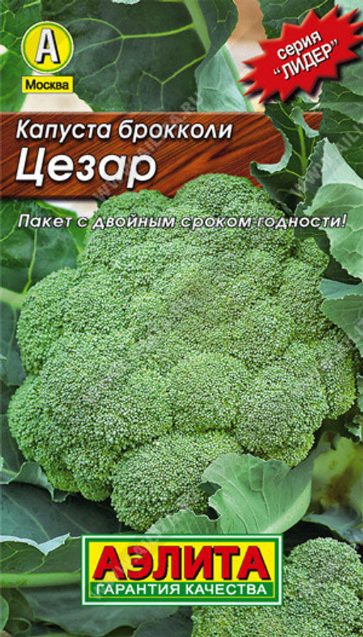 0052L Капуста брокколи Цезар 0,3гр