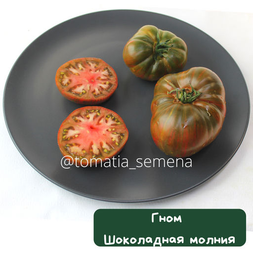 Гном Шоколадная молния - Tomatia фото 2