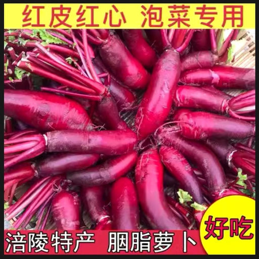 Сычуаньская красная редька лоба Фулин - ?????? - S?chu?n h?ngx?n lu?bo - Дом помидоров фото 2