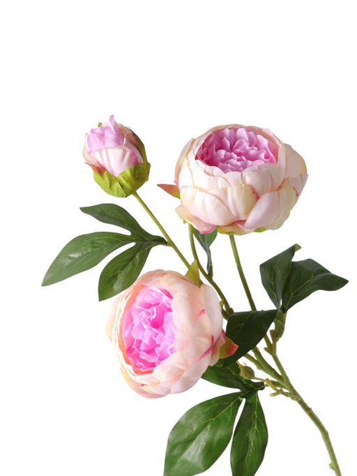 Цветы искусственные «Пион Бьорг», h=65 см, d=8.5 см, бело-сиреневые