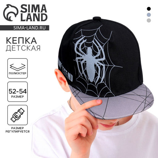 Кепка детская для мальчика Паук, рр 54 см