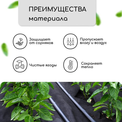 Материал мульчирующий, 5×1.6 м, плотность 60 г/м², спанбонд с УФ-стабилизатором, чёрный, Greengo, Эконом 30%