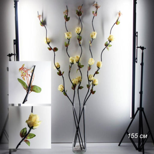 Сухоцвет набор 5 штук 155 см Роза бежевый / 1810-18 /уп 33/ - Галеонтрейд фото 4