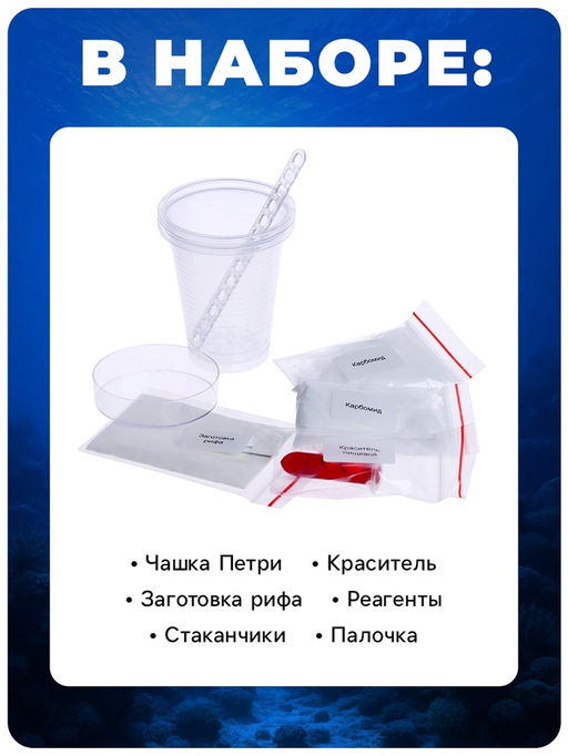 Набор для опытов Коралловый риф, Фиксики  фото 9