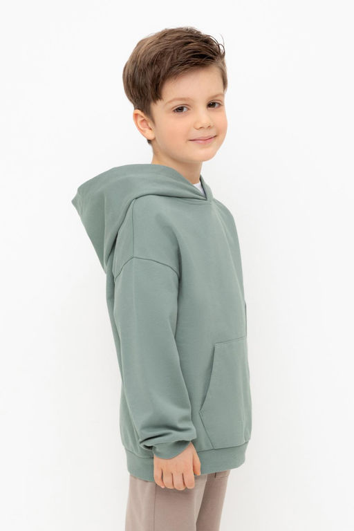 КР 302680/полынь джемпер (худи) для мал