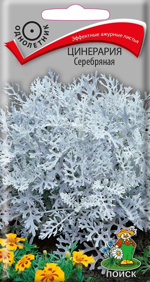 Цинерария Серебряная 0,2г (Поиск)